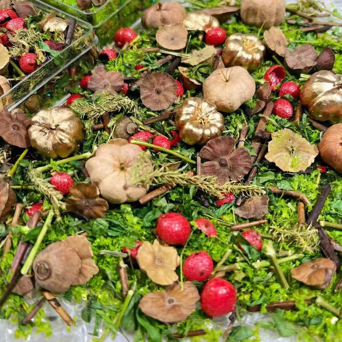 junk journal/scene-building for planners/dried flowers/art journal/mini landscape DIY supplies
