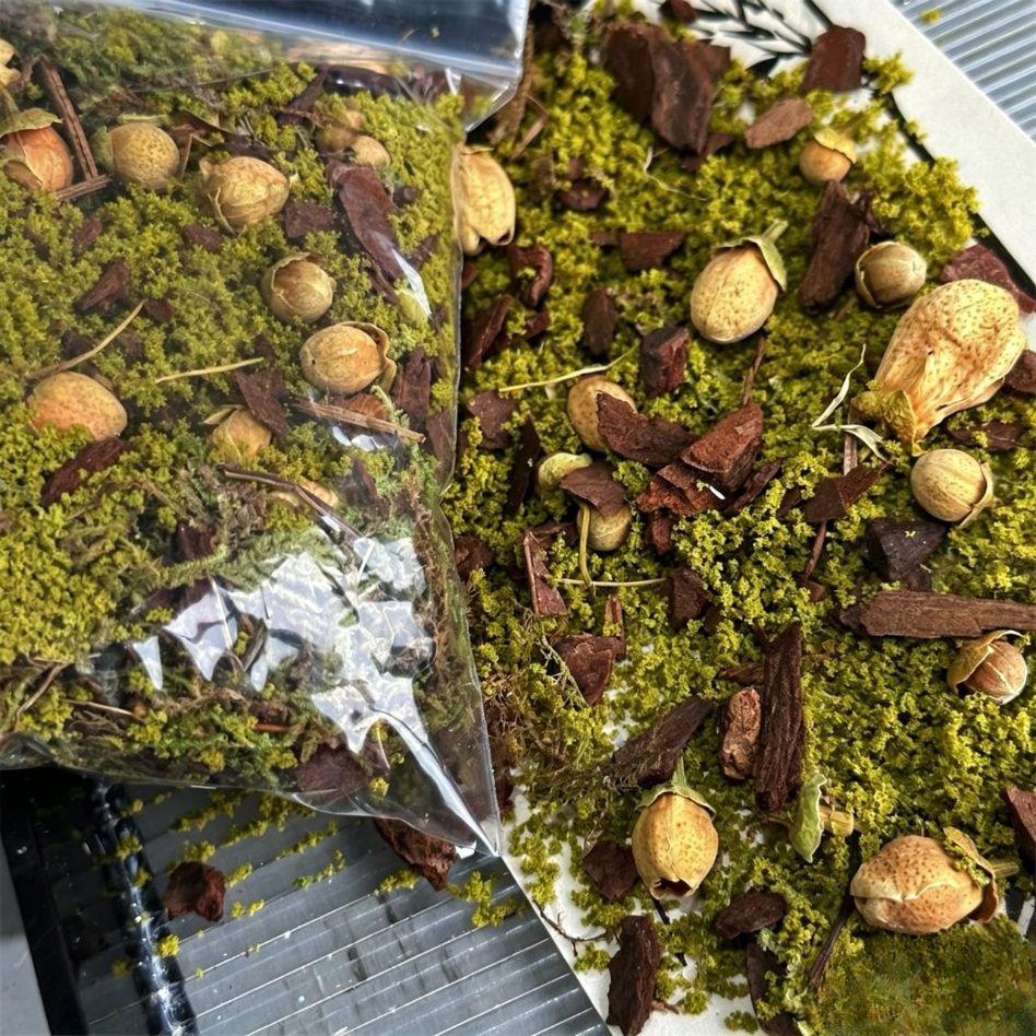 junk journal/scene-building for planners/dried flowers/art journal/mini landscape DIY supplies